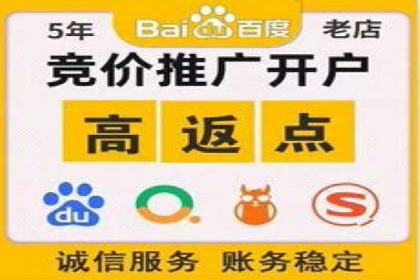 竞价推广实战经验：成功案例分享会