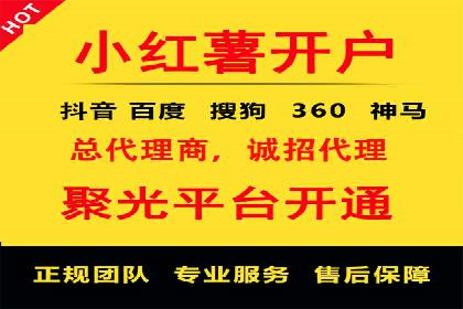 SEM推广实战：成功案例解读与策略调整